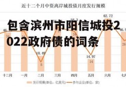 包含滨州市阳信城投2022政府债的词条