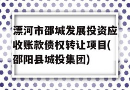 漂河市邵城发展投资应收账款债权转让项目(邵阳县城投集团)