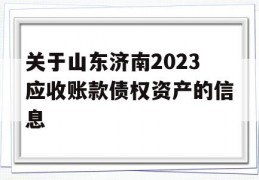 关于山东济南2023应收账款债权资产的信息