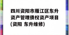 四川资阳市雁江区东升资产管理债权资产项目(资阳 东升维修)