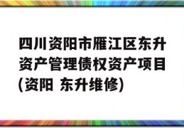 四川资阳市雁江区东升资产管理债权资产项目(资阳 东升维修)