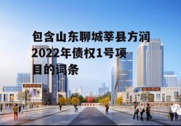 包含山东聊城莘县方润2022年债权1号项目的词条