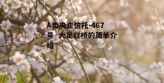 A类央企信托-467号·大足双桥的简单介绍