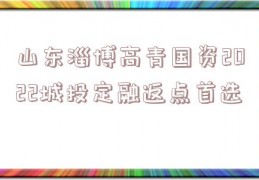 山东淄博高青国资2022城投定融返点首选