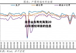 关于山东寿光海发2022年债权项目的信息