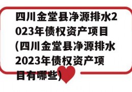 四川金堂县净源排水2023年债权资产项目(四川金堂县净源排水2023年债权资产项目有哪些)