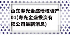 山东寿光金盛债权资产01(寿光金盛投资有限公司最新消息)