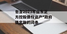 包含2023年山东正方控股债权资产*政府债定融的词条