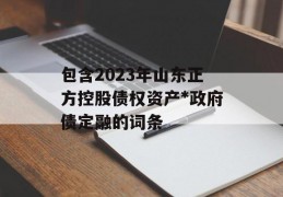 包含2023年山东正方控股债权资产*政府债定融的词条