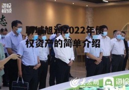 聊城旭润2022年债权资产的简单介绍