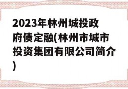 2023年林州城投政府债定融(林州市城市投资集团有限公司简介)