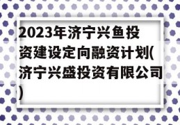 2023年济宁兴鱼投资建设定向融资计划(济宁兴盛投资有限公司)