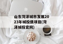 山东菏泽城市发展2023年城投债项目(菏泽城投官网)