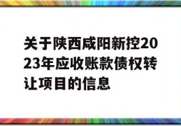 关于陕西咸阳新控2023年应收账款债权转让项目的信息