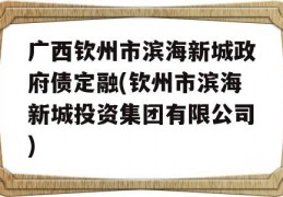 广西钦州市滨海新城政府债定融(钦州市滨海新城投资集团有限公司)