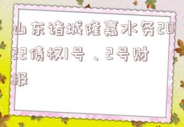 山东诸城隆嘉水务2022债权1号、2号财报