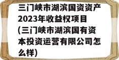 三门峡市湖滨国资资产2023年收益权项目(三门峡市湖滨国有资本投资运营有限公司怎么样)