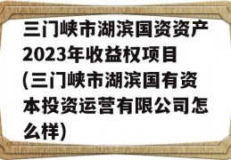 三门峡市湖滨国资资产2023年收益权项目(三门峡市湖滨国有资本投资运营有限公司怎么样)