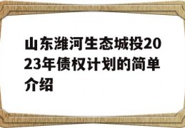 山东潍河生态城投2023年债权计划的简单介绍