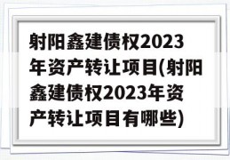 射阳鑫建债权2023年资产转让项目(射阳鑫建债权2023年资产转让项目有哪些)