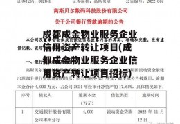 成都成金物业服务企业信用资产转让项目(成都成金物业服务企业信用资产转让项目招标)