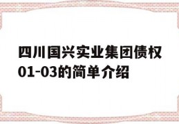 四川国兴实业集团债权01-03的简单介绍