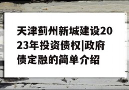 天津蓟州新城建设2023年投资债权|政府债定融的简单介绍