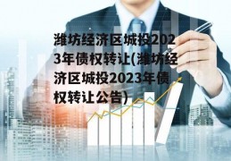 潍坊经济区城投2023年债权转让(潍坊经济区城投2023年债权转让公告)