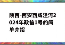 陕西-西安西咸泾河2024年政信1号的简单介绍