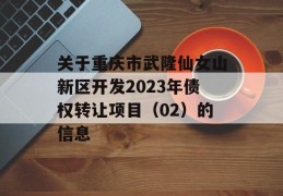 关于重庆市武隆仙女山新区开发2023年债权转让项目（02）的信息