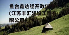 鱼台鑫达经开政信债权(江苏丰汇建设工程有限公司)