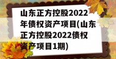 山东正方控股2022年债权资产项目(山东正方控股2022债权资产项目1期)