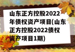 山东正方控股2022年债权资产项目(山东正方控股2022债权资产项目1期)