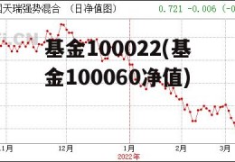 基金100022(基金100060净值)