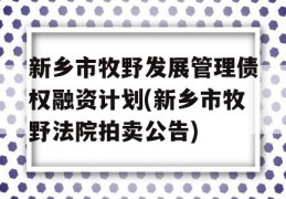 新乡市牧野发展管理债权融资计划(新乡市牧野法院拍卖公告)