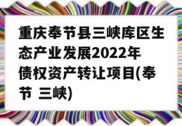 重庆奉节县三峡库区生态产业发展2022年债权资产转让项目(奉节 三峡)