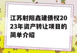 江苏射阳鑫建债权2023年资产转让项目的简单介绍