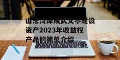 山东菏泽成武文亭建设资产2023年收益权产品的简单介绍