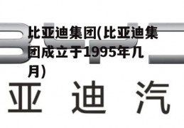 比亚迪集团(比亚迪集团成立于1995年几月)