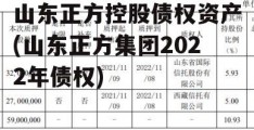 山东正方控股债权资产(山东正方集团2022年债权)