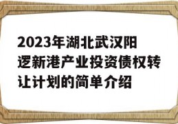 2023年湖北武汉阳逻新港产业投资债权转让计划的简单介绍