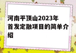 河南平顶山2023年首发定融项目的简单介绍