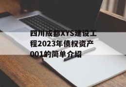 四川成都XYS建设工程2023年债权资产001的简单介绍