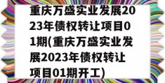 重庆万盛实业发展2023年债权转让项目01期(重庆万盛实业发展2023年债权转让项目01期开工)