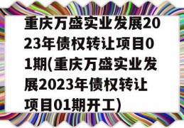 重庆万盛实业发展2023年债权转让项目01期(重庆万盛实业发展2023年债权转让项目01期开工)