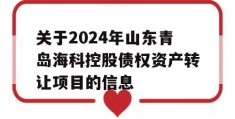 关于2024年山东青岛海科控股债权资产转让项目的信息