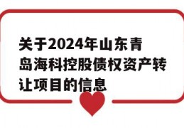 关于2024年山东青岛海科控股债权资产转让项目的信息