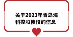 关于2023年青岛海科控股债权的信息