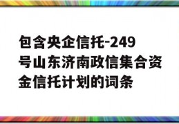 包含央企信托-249号山东济南政信集合资金信托计划的词条