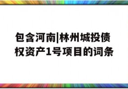 包含河南|林州城投债权资产1号项目的词条